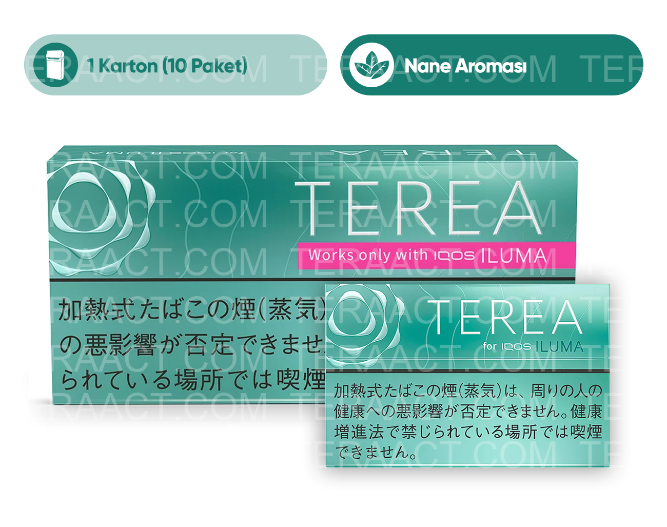 IQOS Terea Mint (Japon)